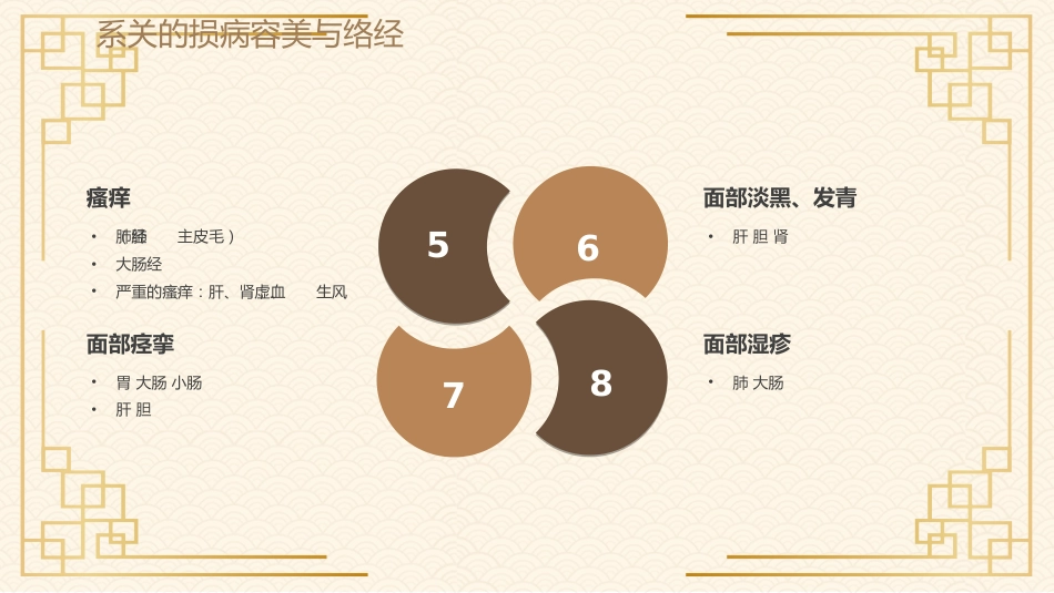 中医其他：经络与美容_第14页