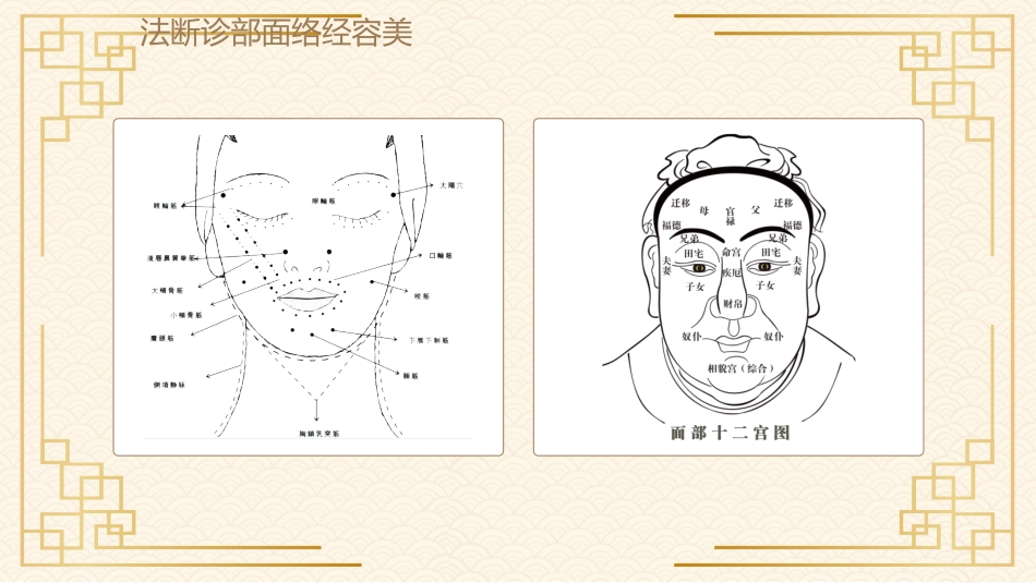 中医其他：经络与美容_第5页