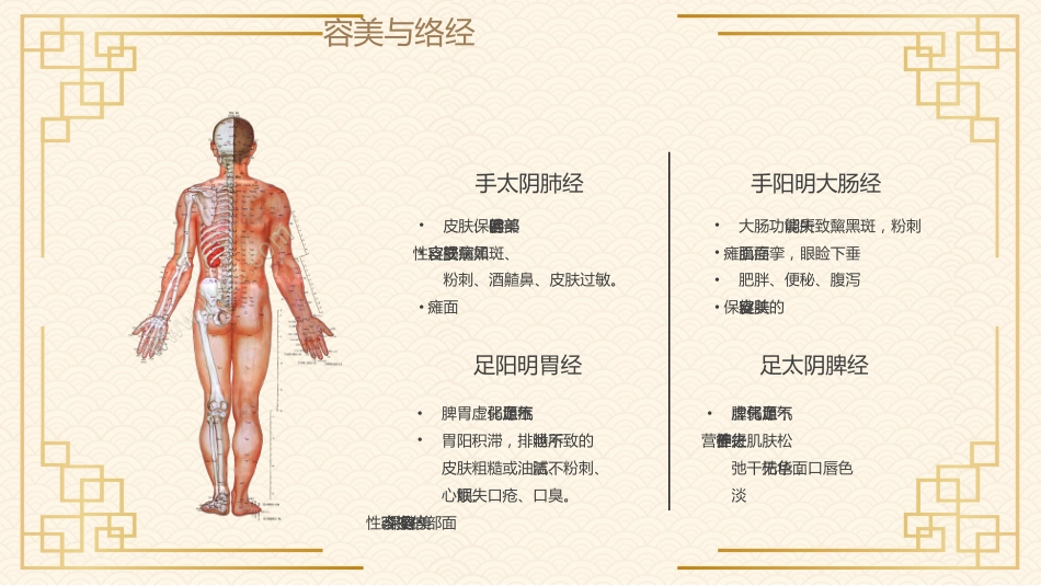 中医其他：经络与美容_第8页