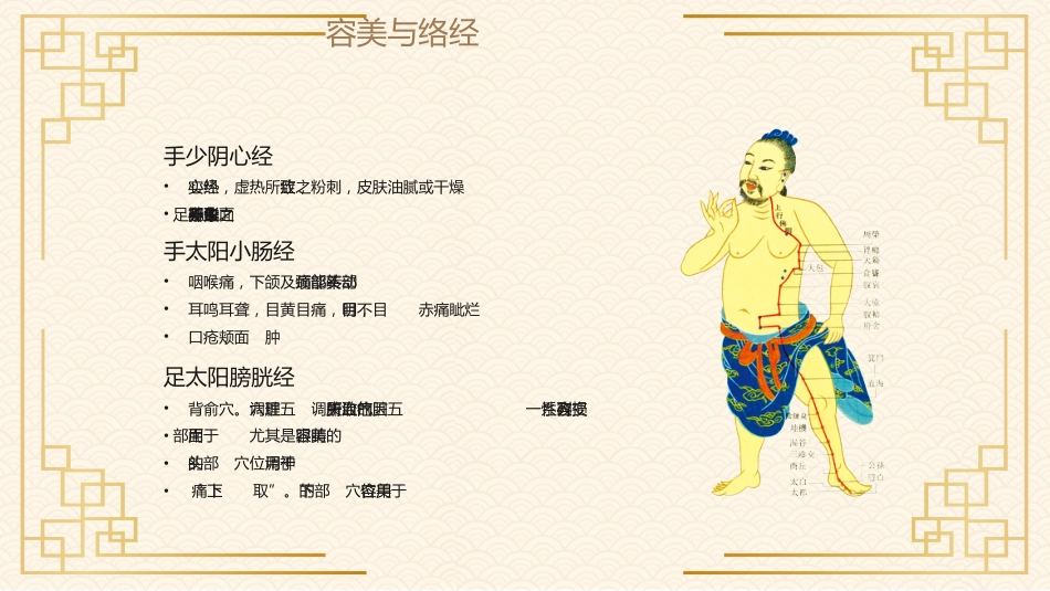 中医其他：经络与美容_第9页