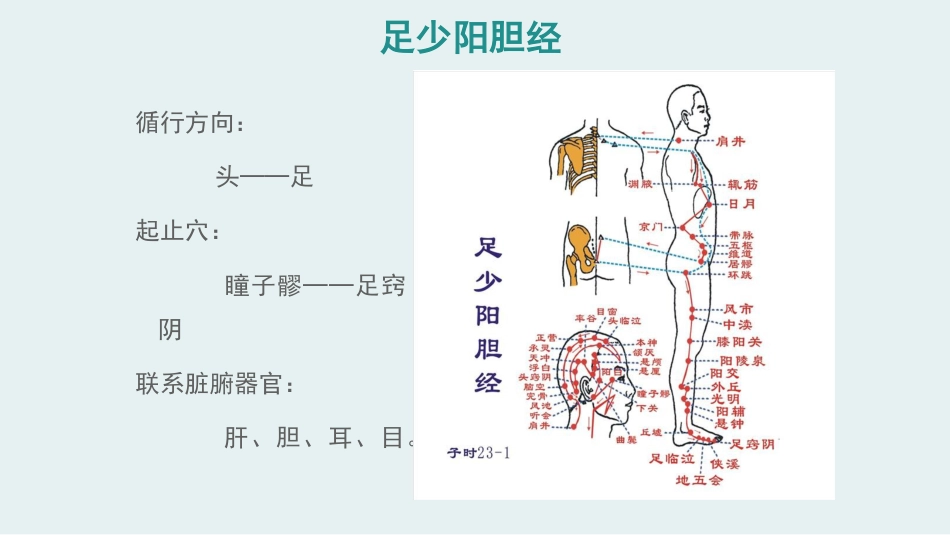 经络腧穴学(含穴名释义)-足少阳胆经上_第3页
