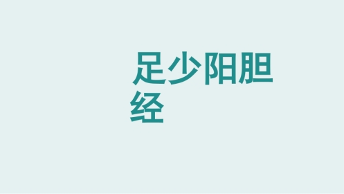 经络腧穴学(含穴名释义)-足少阳胆经上