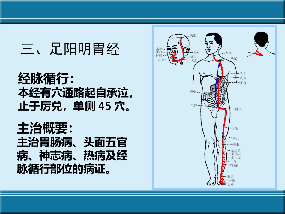 经络与腧穴ppt课件_第10页