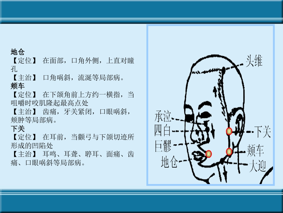 经络与腧穴ppt课件_第11页