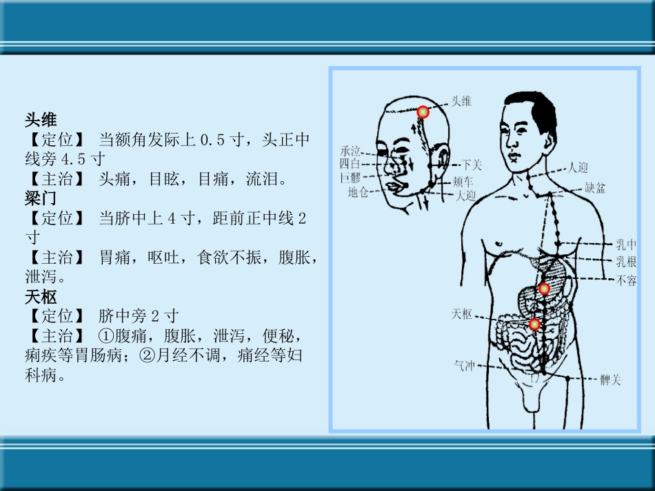 经络与腧穴ppt课件_第12页