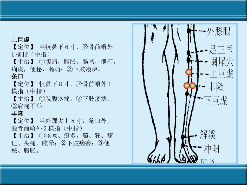 经络与腧穴ppt课件_第14页