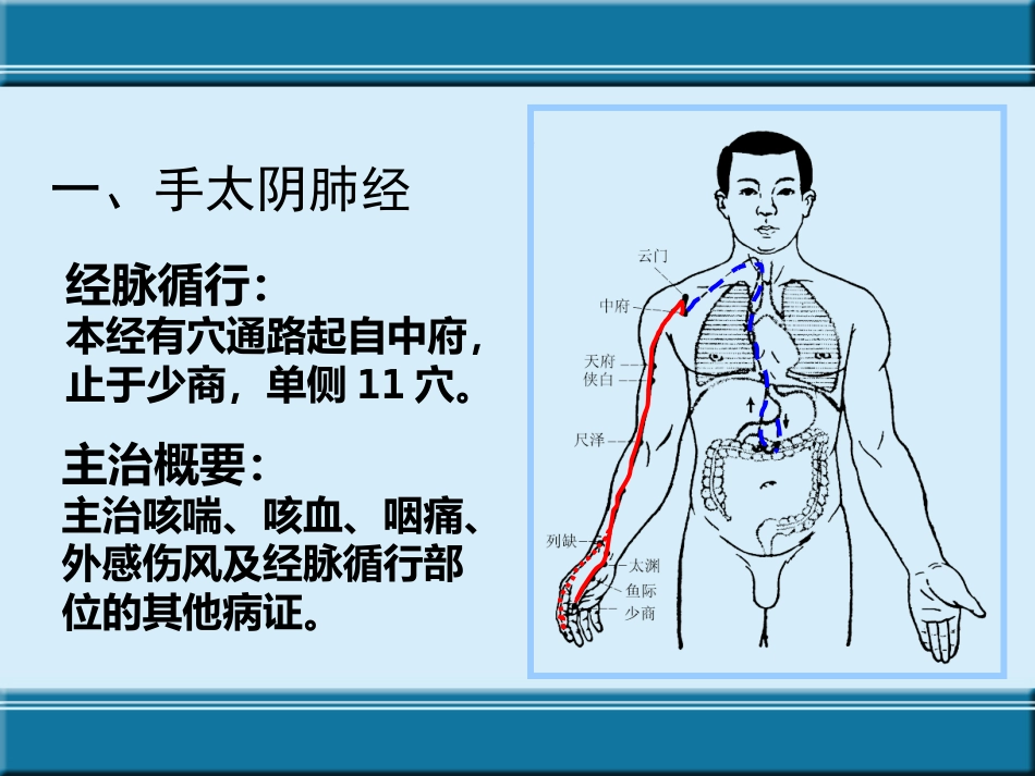 经络与腧穴ppt课件_第4页