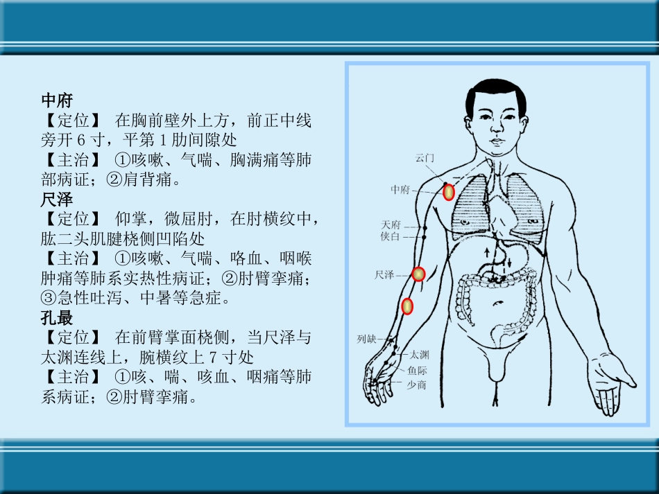 经络与腧穴ppt课件_第5页