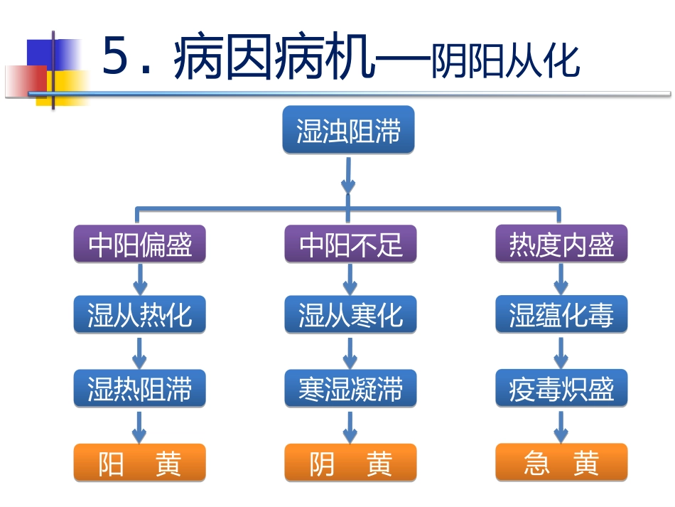 黄疸的中医标准化治疗_第12页