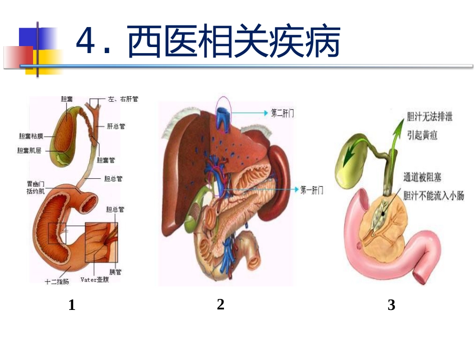 黄疸的中医标准化治疗_第8页