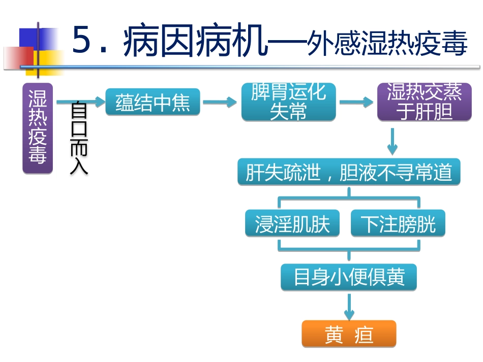 黄疸的中医标准化治疗_第9页