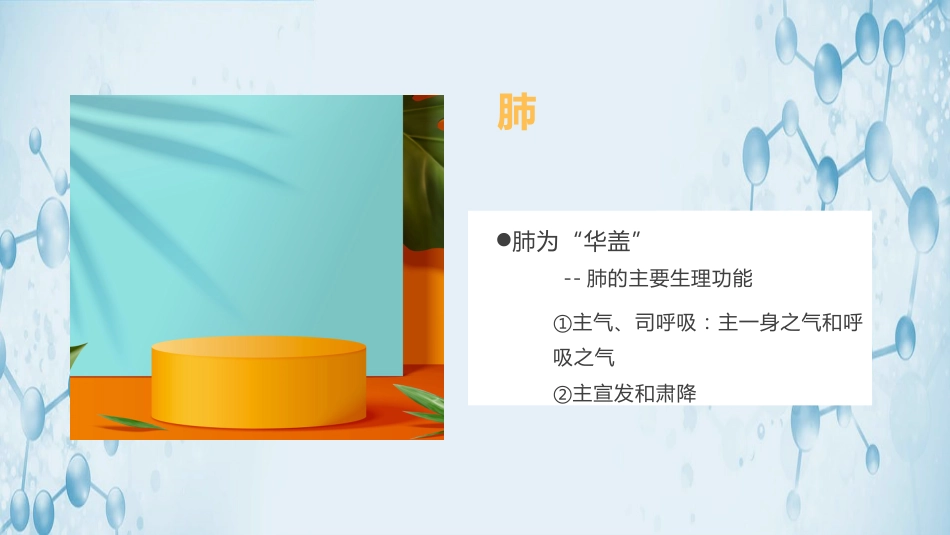 中医其他：中医基础理论_第14页