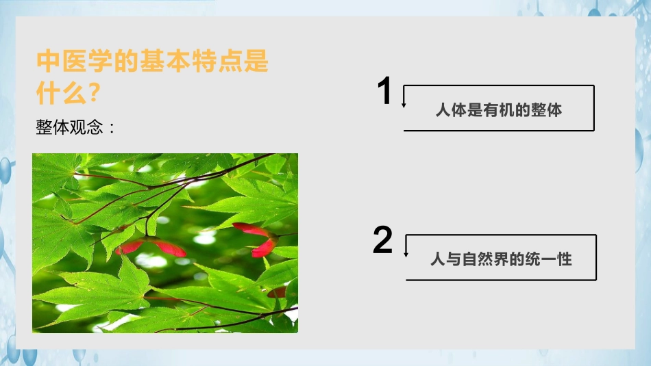 中医其他：中医基础理论_第3页