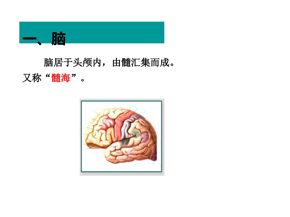 中医基础理论-六腑与奇恒之腑_第14页