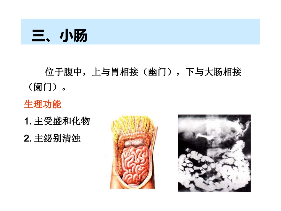 中医基础理论-六腑与奇恒之腑_第6页