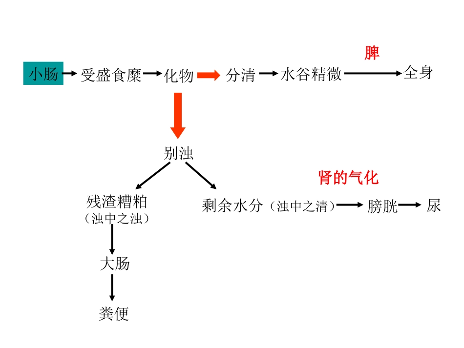 中医基础理论-六腑与奇恒之腑_第7页