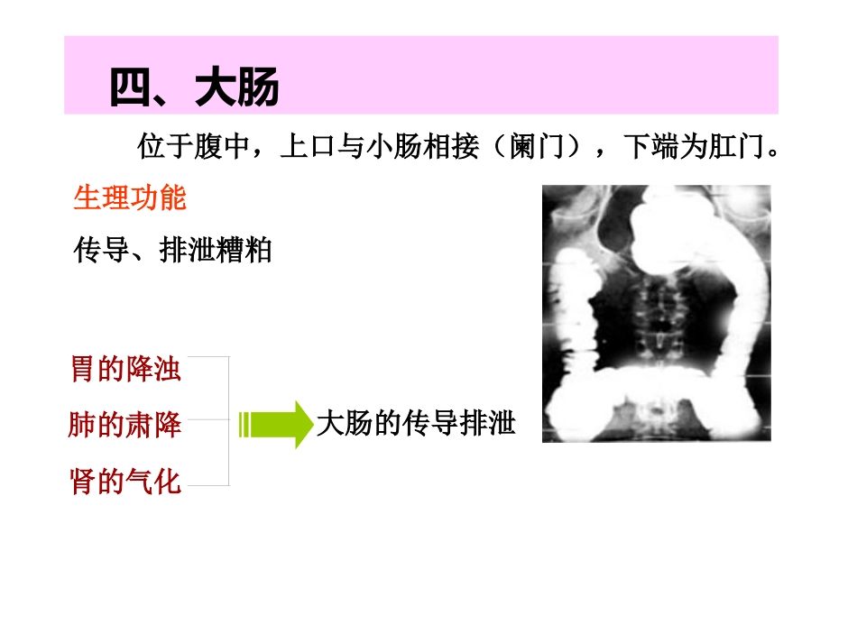 中医基础理论-六腑与奇恒之腑_第9页