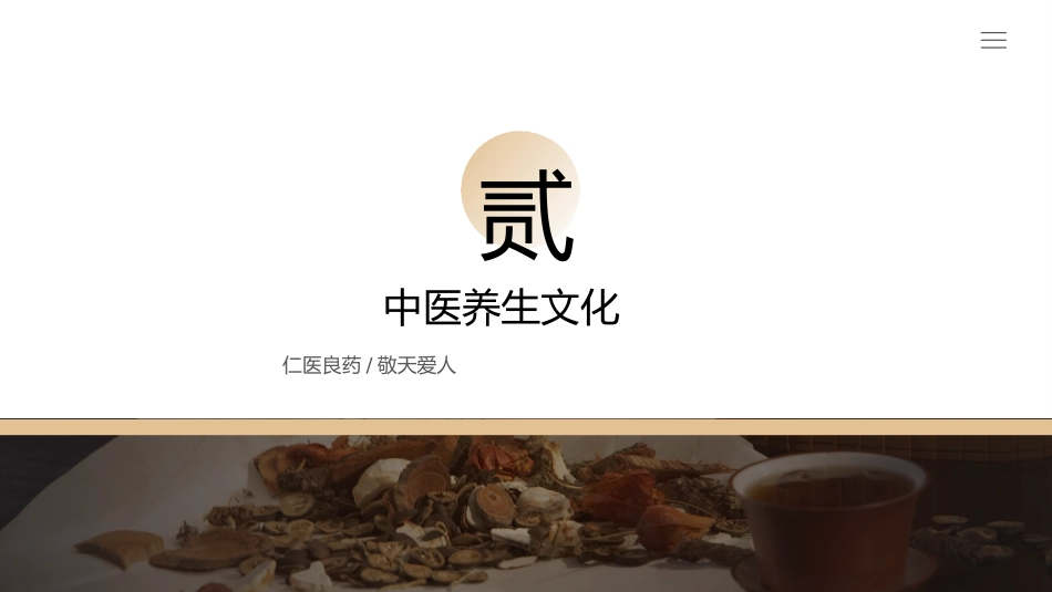 中医文化_第6页