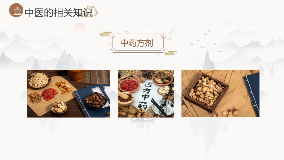 中医其他：神奇的中医2_第10页