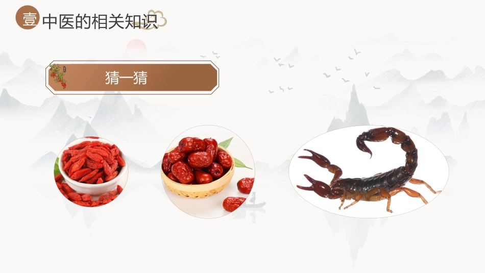 中医其他：神奇的中医2_第11页