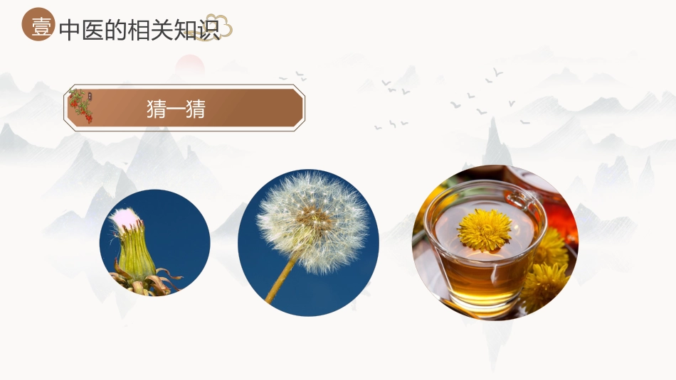 中医其他：神奇的中医2_第12页