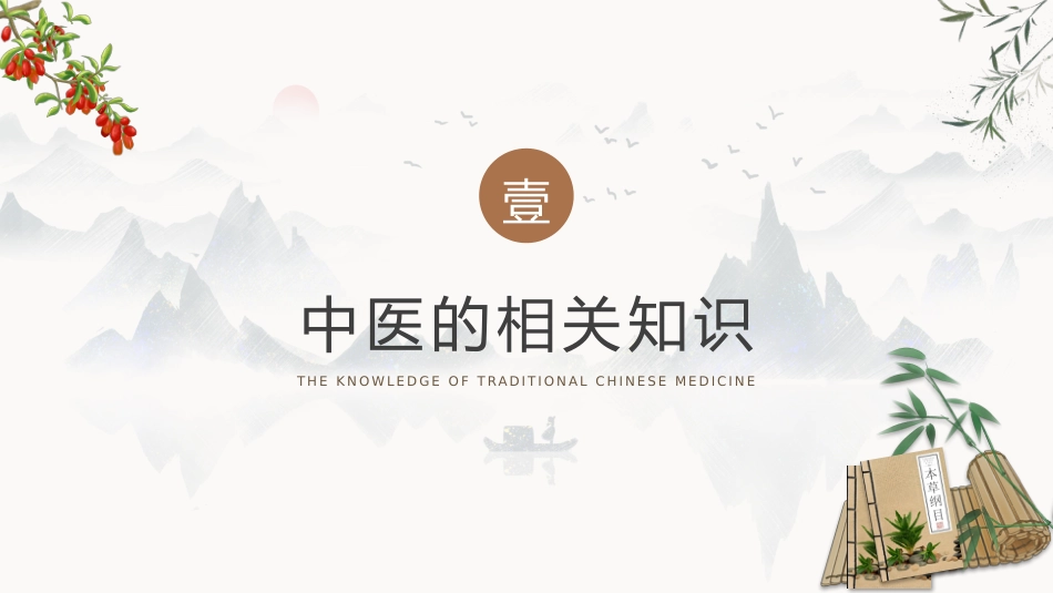 中医其他：神奇的中医2_第3页