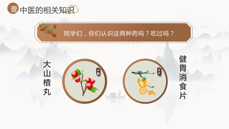 中医其他：神奇的中医2_第4页
