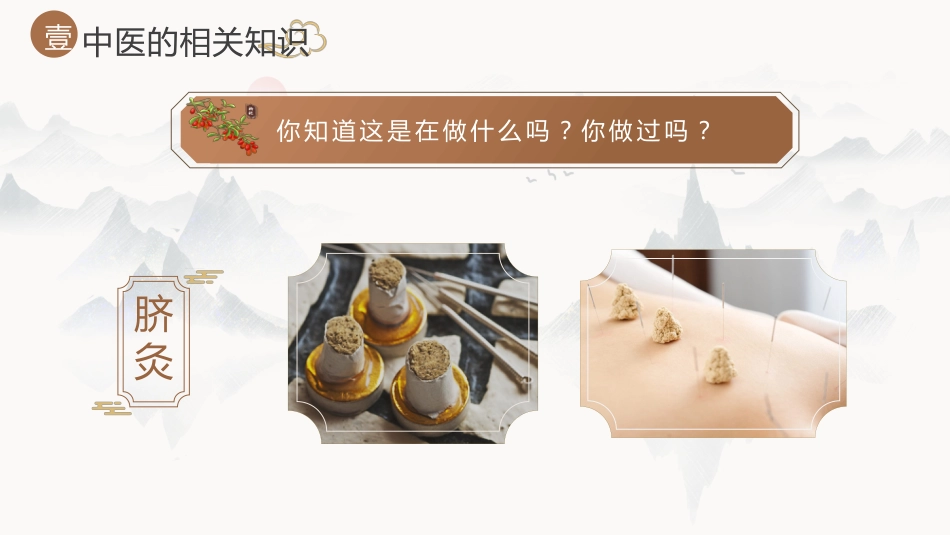 中医其他：神奇的中医2_第6页