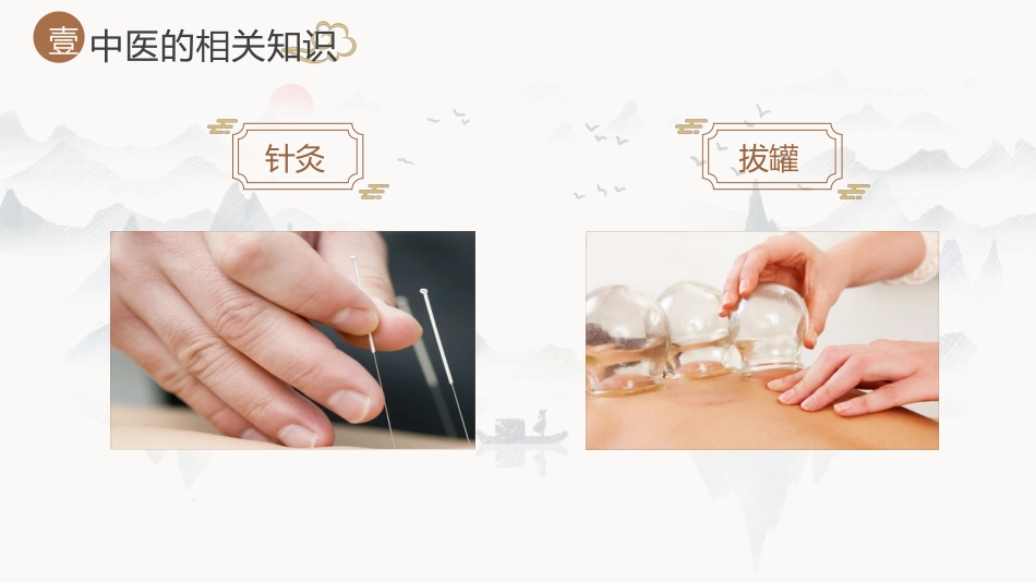 中医其他：神奇的中医2_第9页