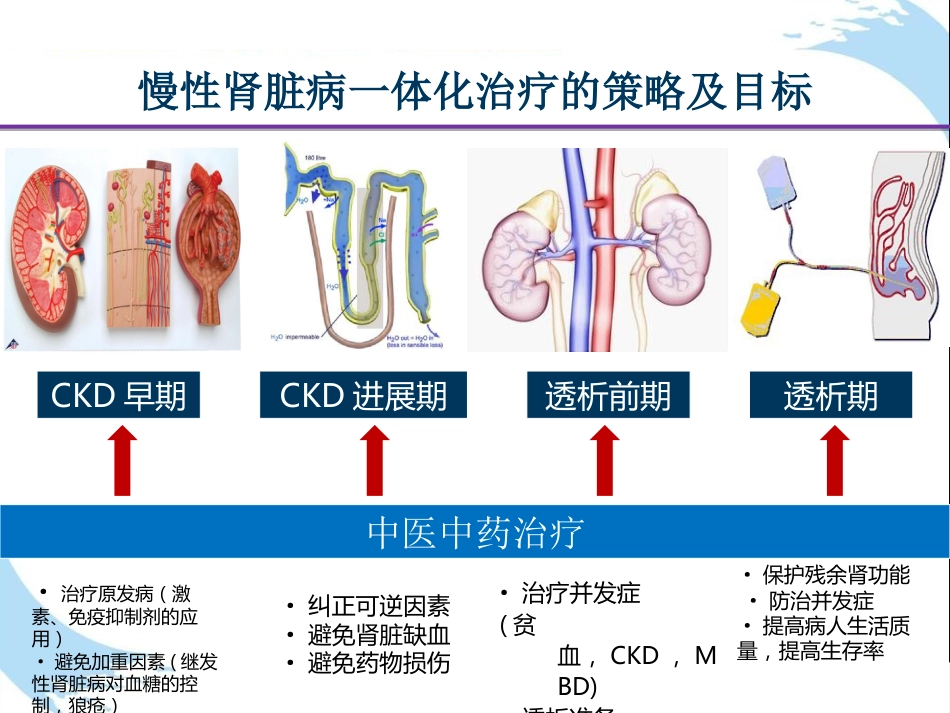 中医治疗：慢性肾衰竭CKD中西医结合治疗方案_第3页