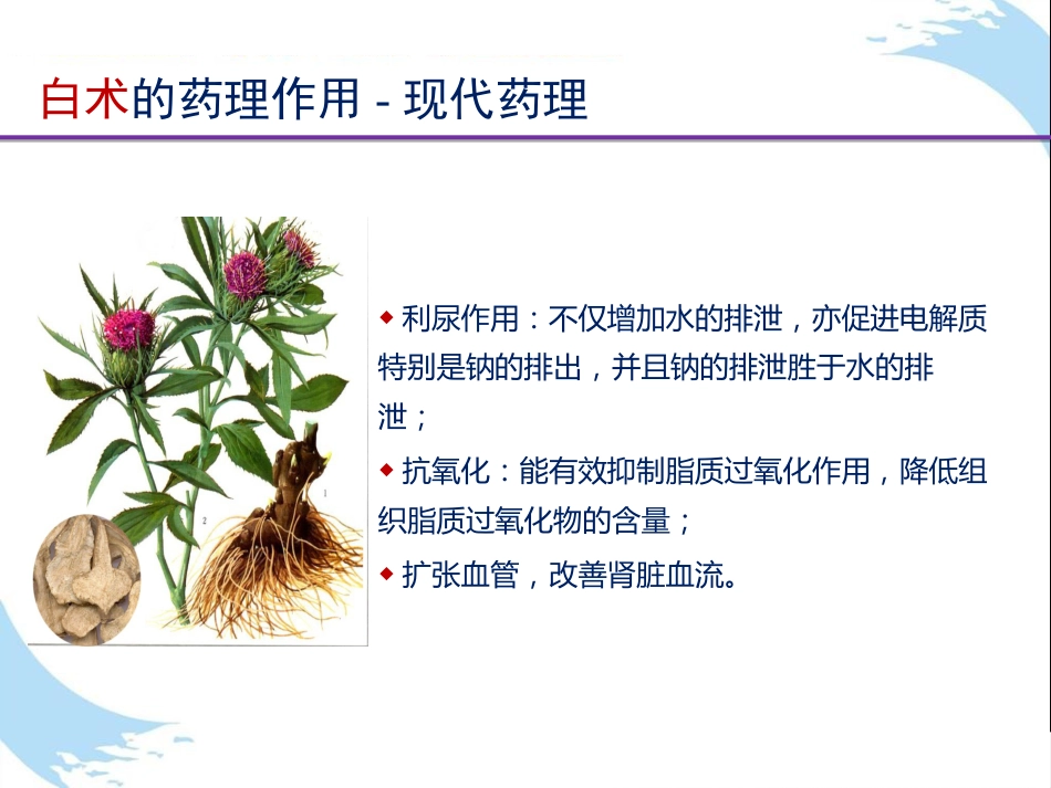 中医治疗：慢性肾衰竭CKD中西医结合治疗方案_第9页