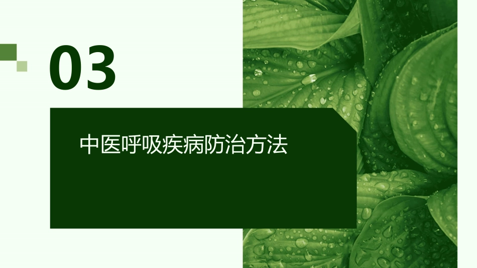 中医在呼吸疾病防治中的应用的课件_第11页