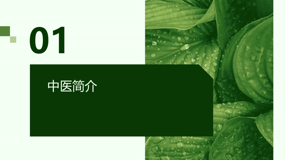 中医在呼吸疾病防治中的应用的课件_第3页