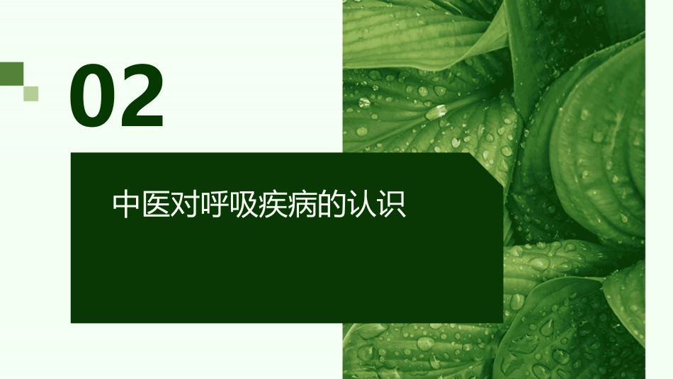 中医在呼吸疾病防治中的应用的课件_第7页
