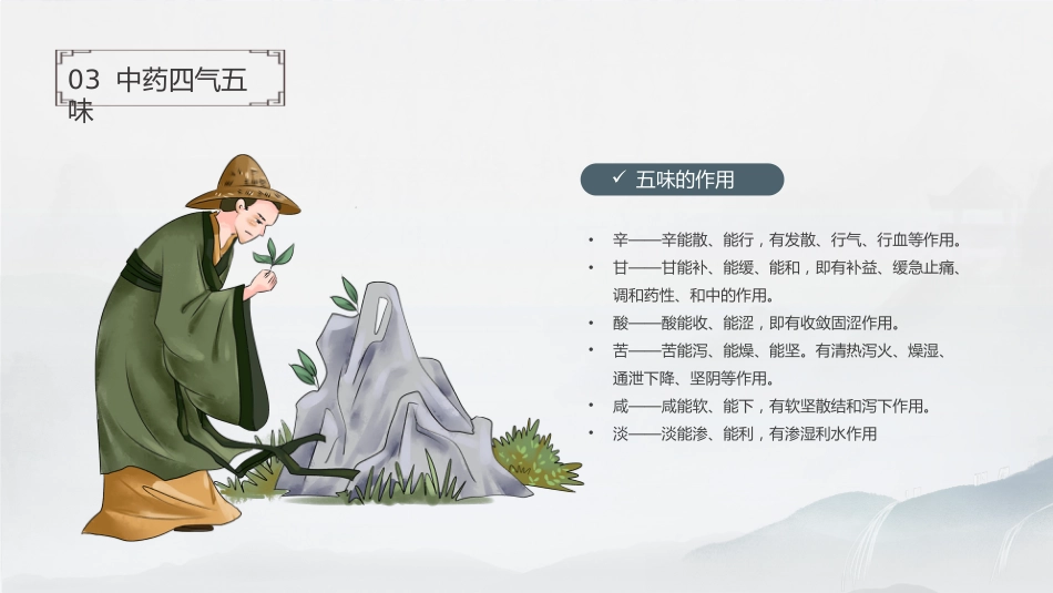 中药基础知识_第11页