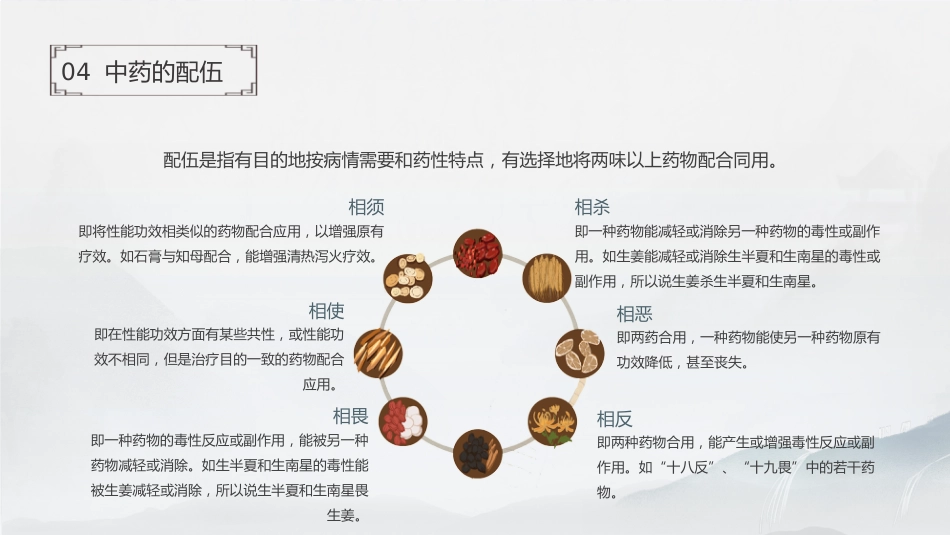 中药基础知识_第15页