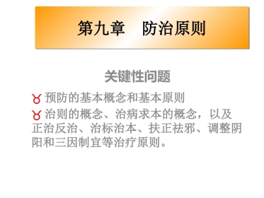 中医基础理论-防治原则