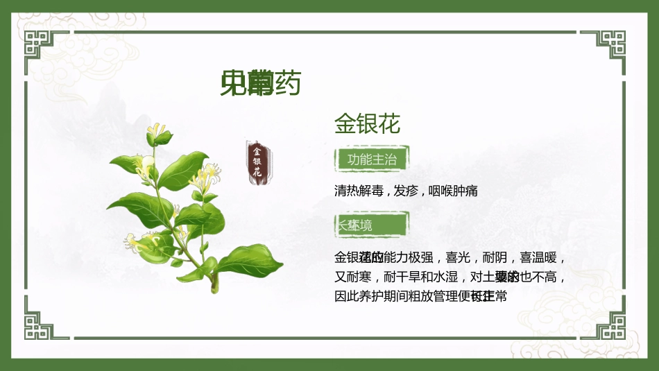 神奇中草药_第11页