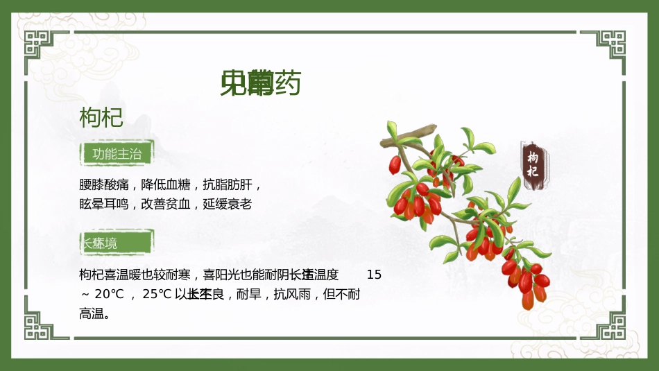 神奇中草药_第12页