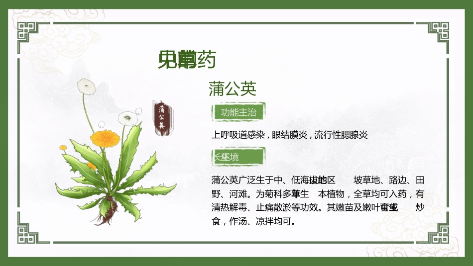 神奇中草药_第13页