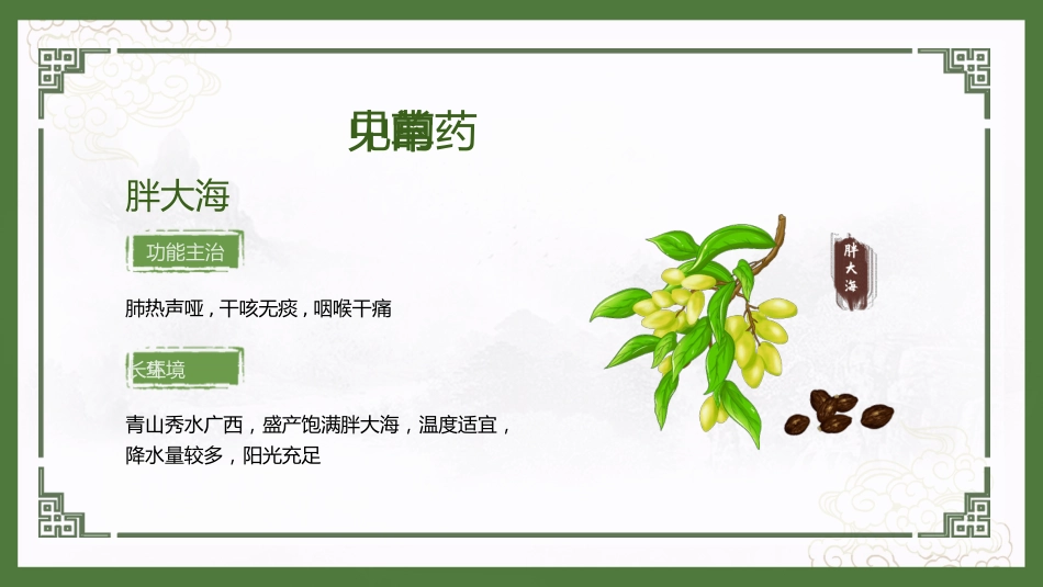 神奇中草药_第8页