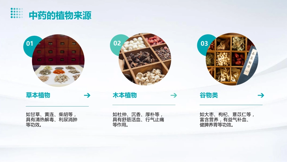 中药的起源和中药学的发展_第12页