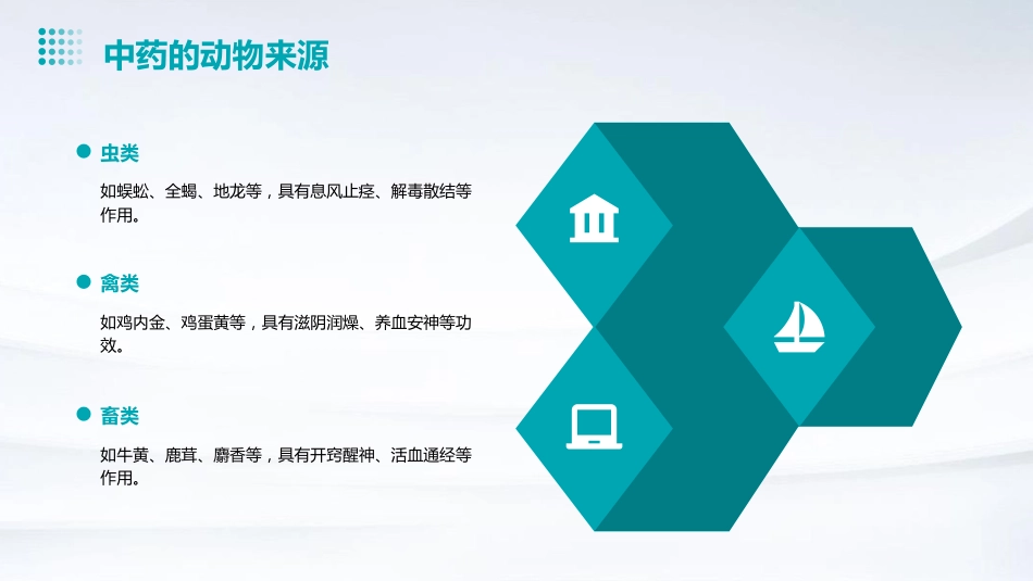 中药的起源和中药学的发展_第13页