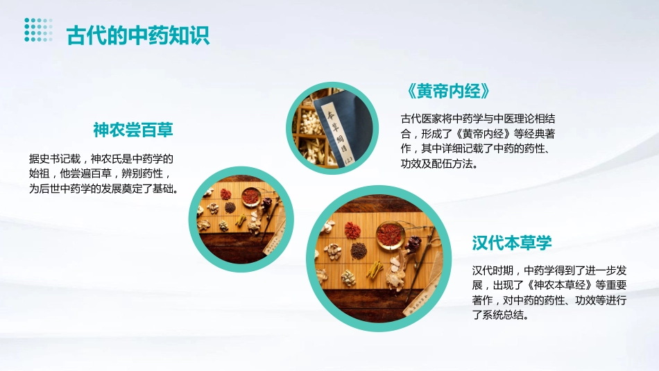中药的起源和中药学的发展_第4页