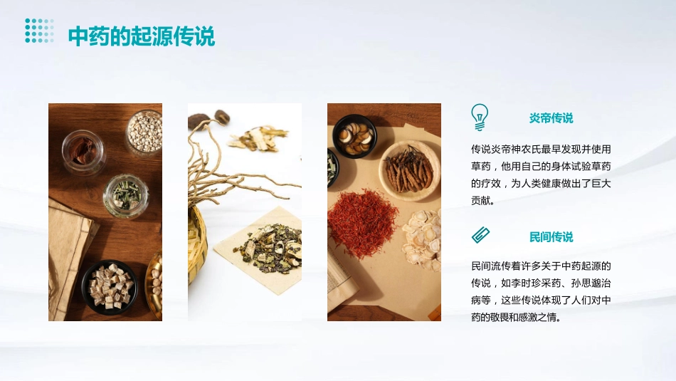 中药的起源和中药学的发展_第5页