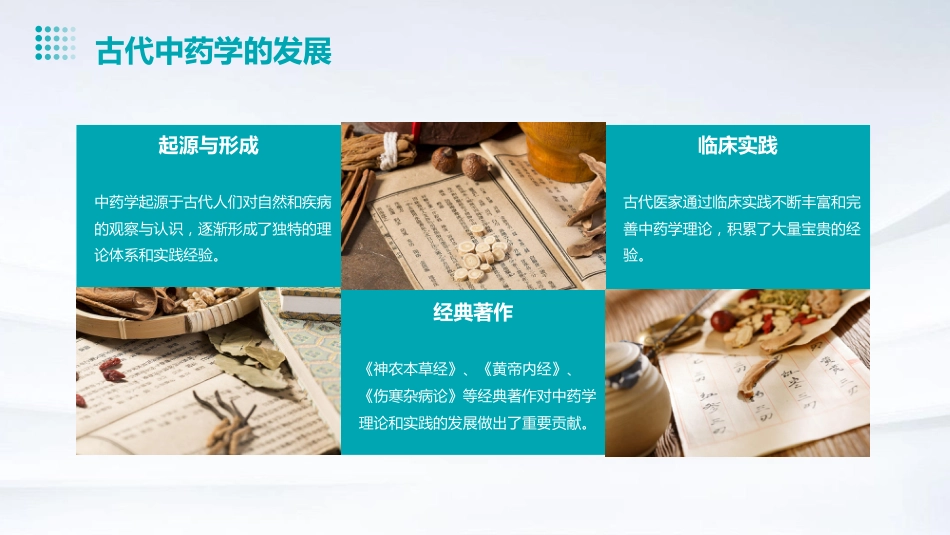 中药的起源和中药学的发展_第8页