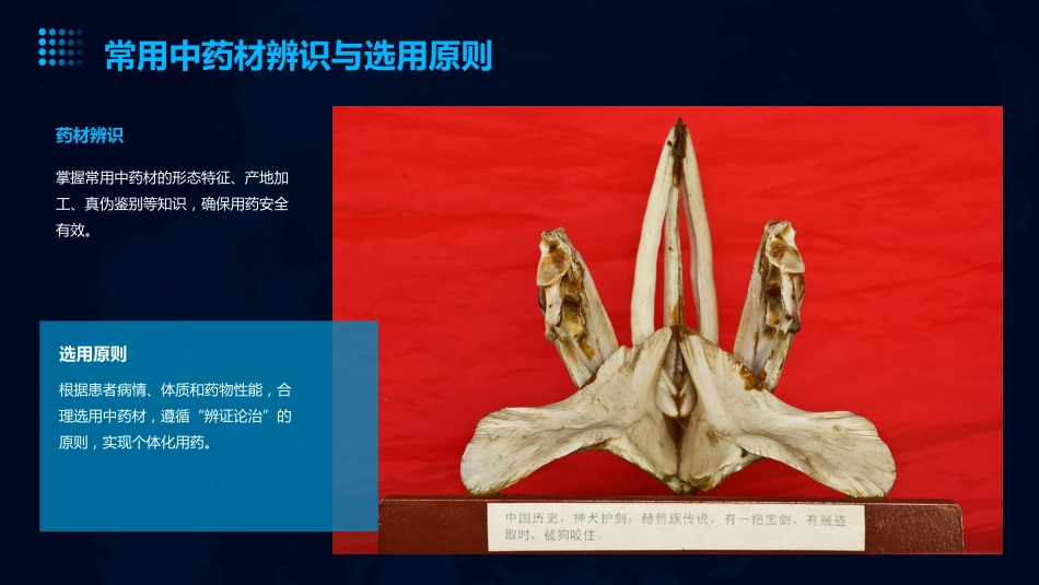中药临床药师技能培训中的临床用药指导_第10页