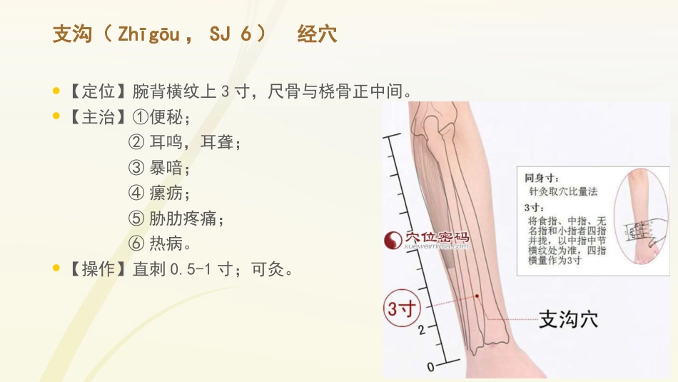 护士常用穴位系列之二_第13页