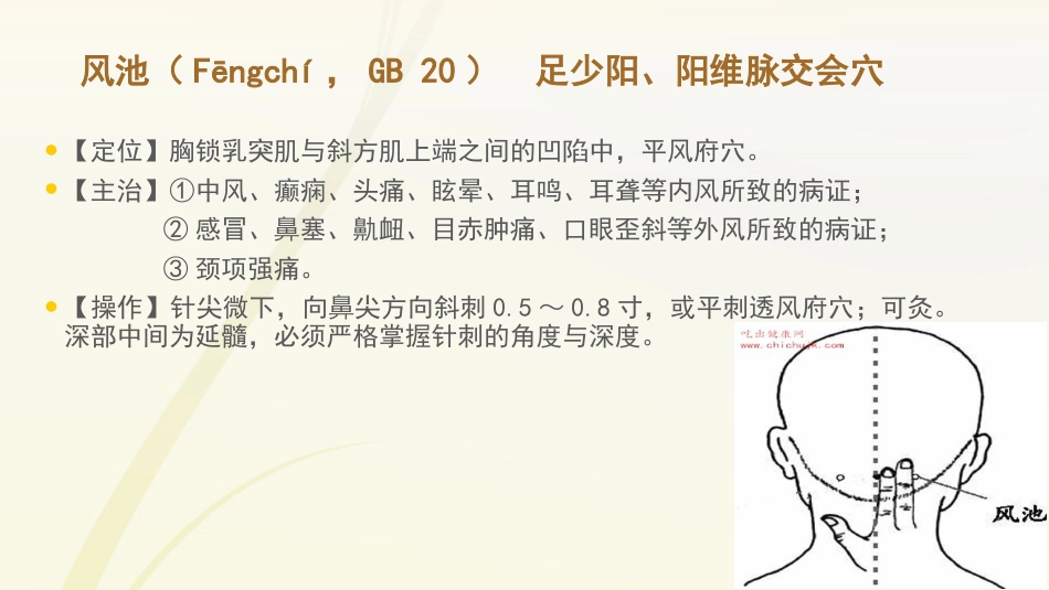 护士常用穴位系列之二_第14页