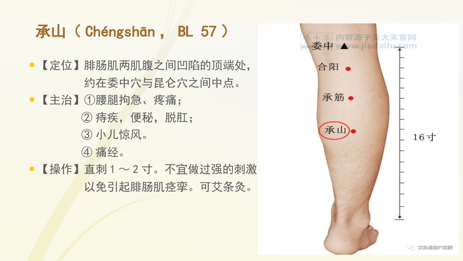 护士常用穴位系列之二_第6页